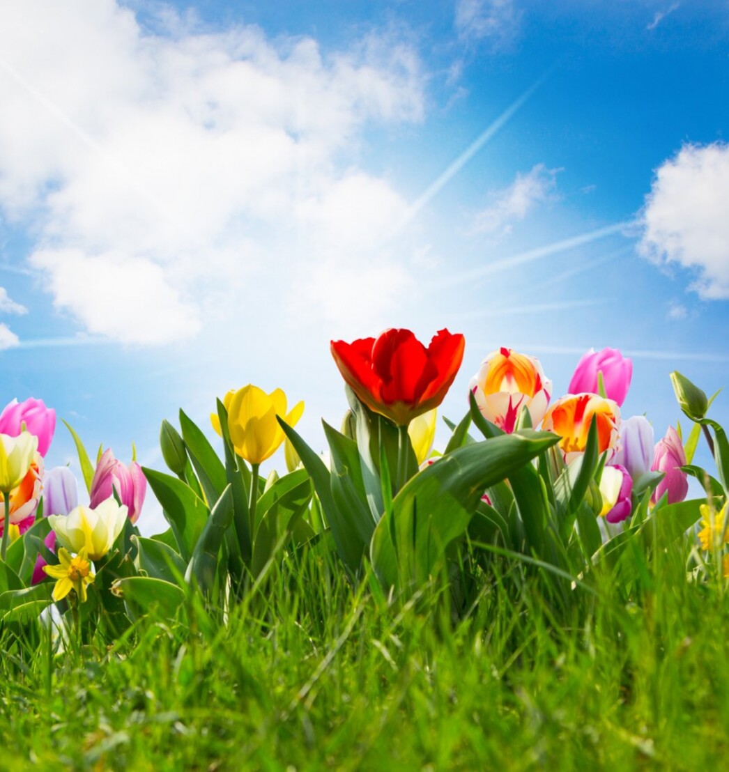 Nieuw in het assortiment